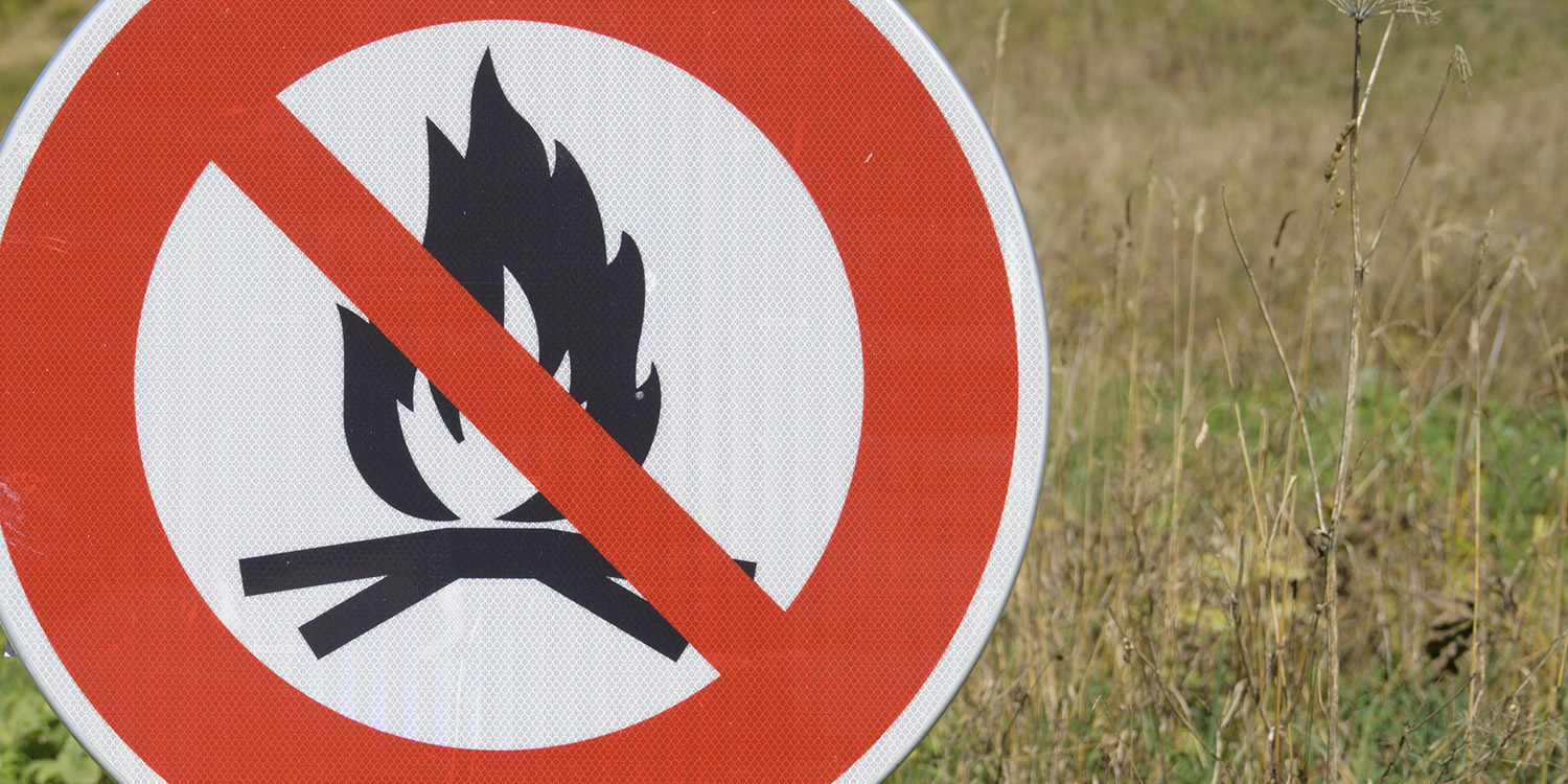 La position de Libre Forêt sur les incendies de forêts