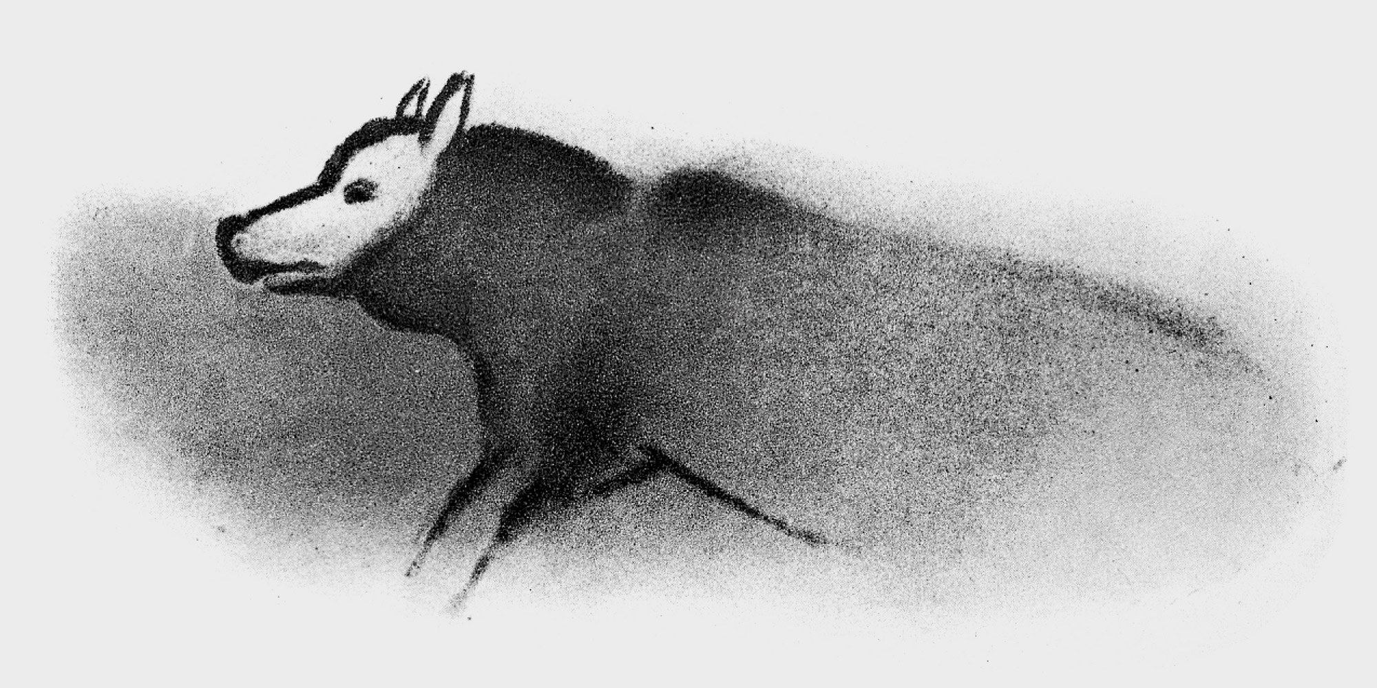 Illustration publiée dans L’art préhistorique (1932) de René de Saint-Périer, d’après une peinture pariétale de la Grotte de Font-de-Gaume.