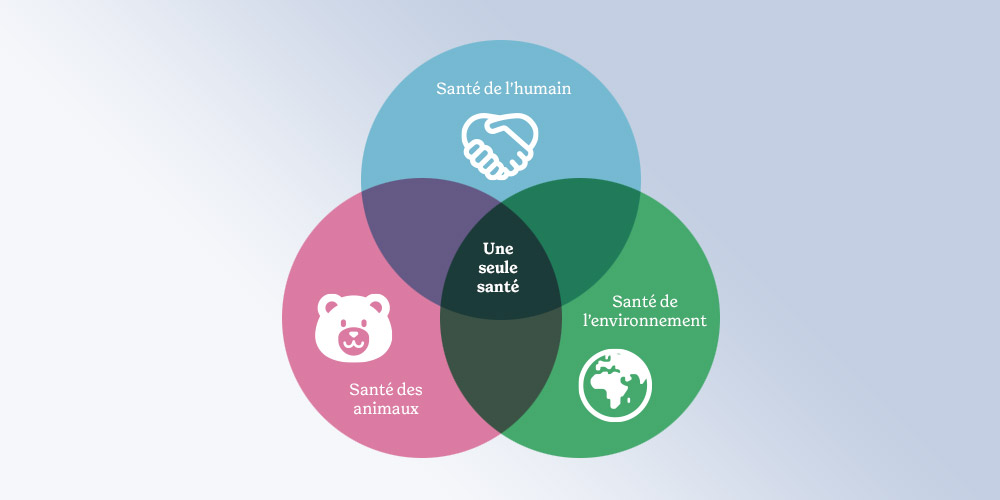 Une seule santé (One Health)