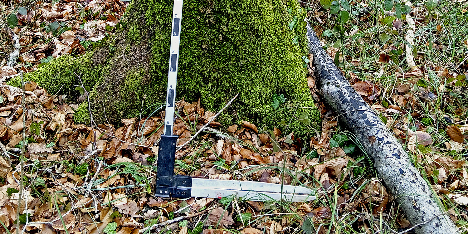 Le Protocole de suivi dendrométrique des réserves forestières